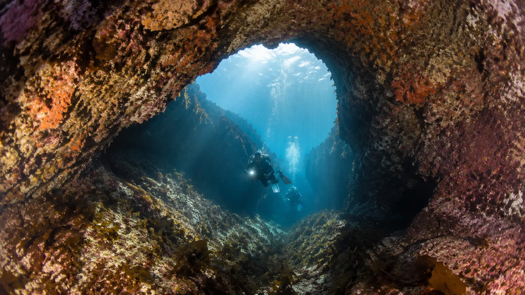 Poor Knights Islands scuba diving