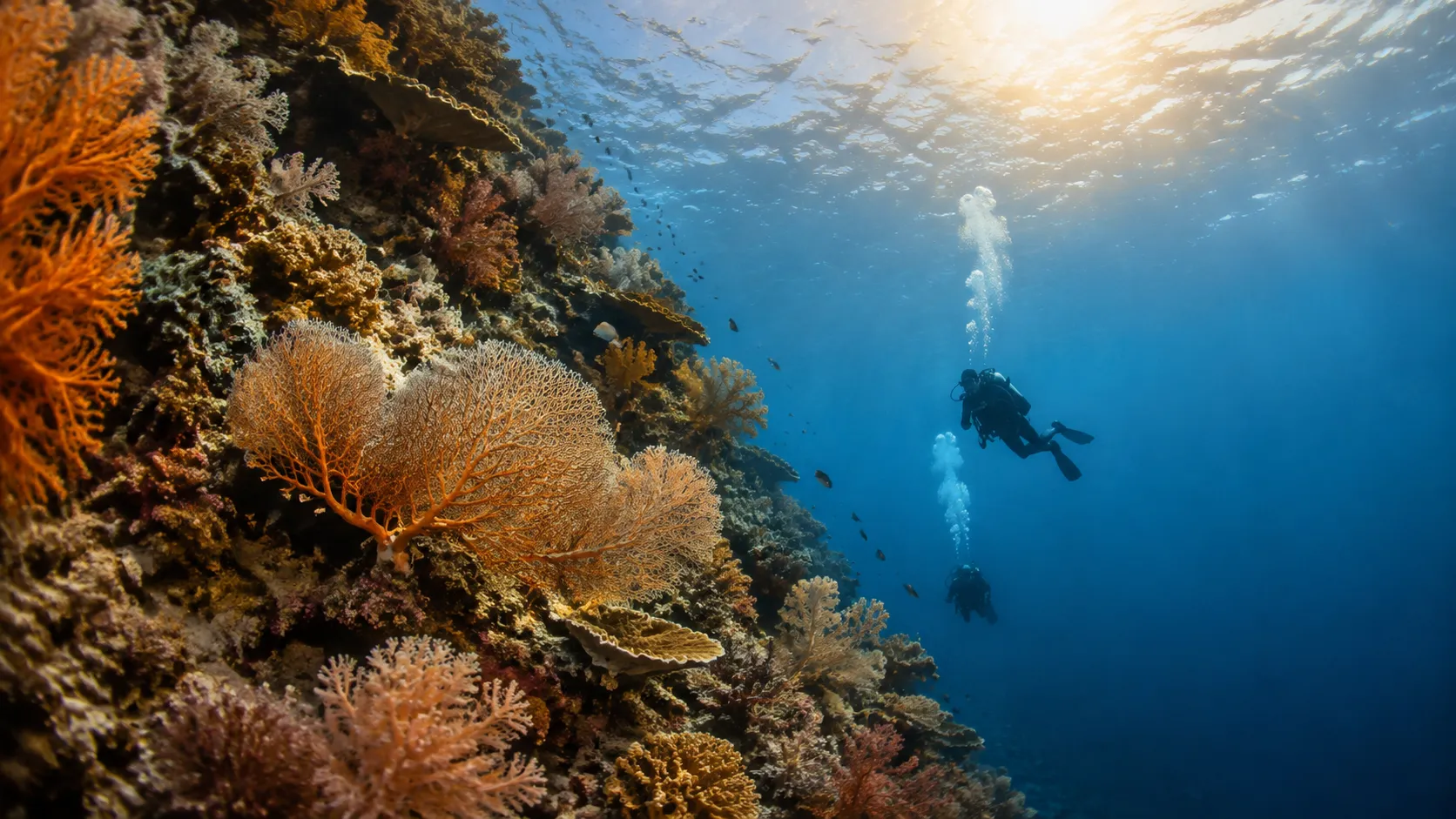 Wakatobi scuba diving